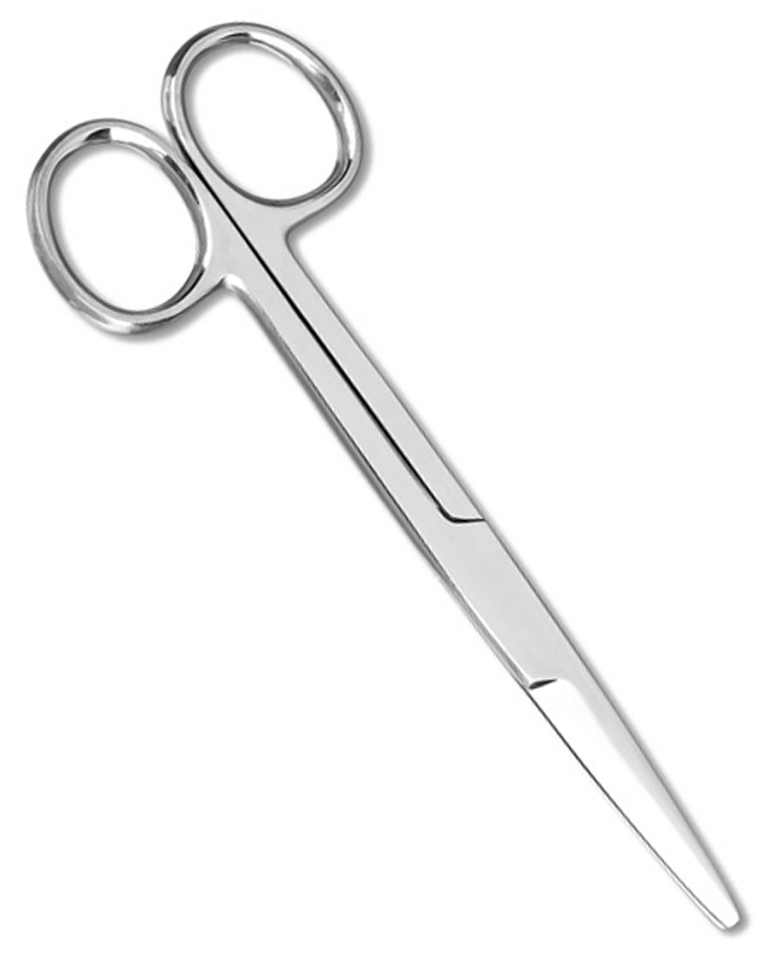 5.5 Mayo Dissecting Scissor Biology Supplies